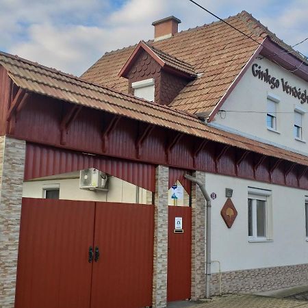 Ginkgo Apartman Demjén Exterior foto