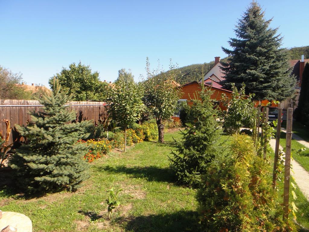 Ginkgo Apartman Demjén Exterior foto